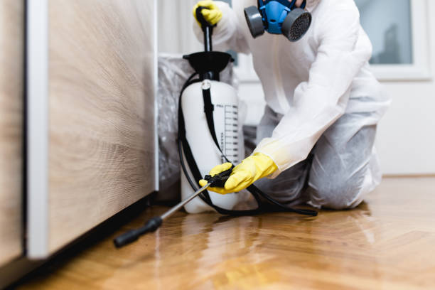 Best Flea Control Services  in Ripon, WI