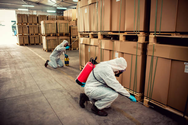 Professional Pest Control in Ripon, WI