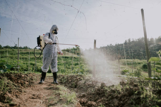 Best Pest Control Treatment  in Ripon, WI