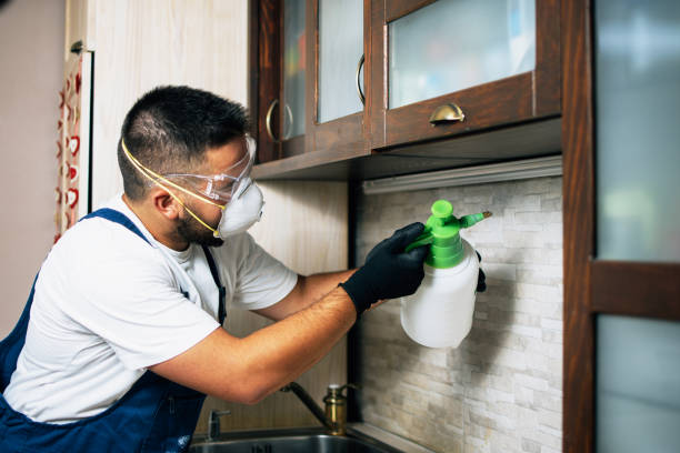 Best Bed Bug Extermination  in Ripon, WI