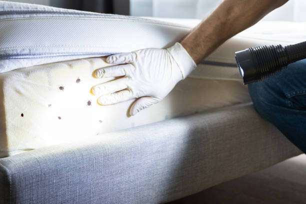 Best Insect Control  in Ripon, WI