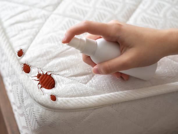 Best Best Pest Control Companies  in Ripon, WI