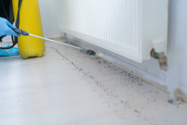 Best Affordable Pest Control Services  in Ripon, WI