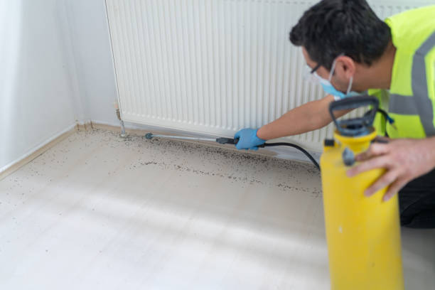 Best Affordable Pest Control Services  in Ripon, WI
