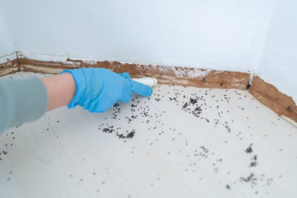 Best Best Pest Control Companies  in Ripon, WI