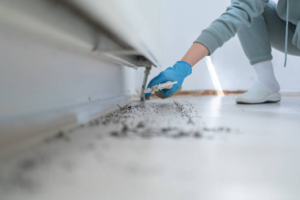 Best Residential Pest Control  in Ripon, WI