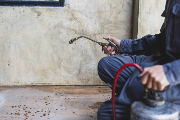 Best Pest Inspection Near Me  in Ripon, WI